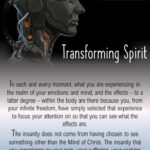 InfoPin_007b - Transforming Spirit