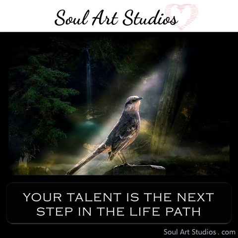 Digital Work "Soul Art Studios" - Vladu Creations