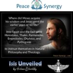 Peace Synergy_13