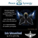 Peace Synergy_14