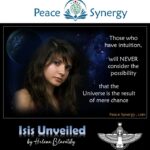 Peace Synergy_18