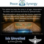 Peace Synergy_27
