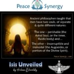 Peace Synergy_31