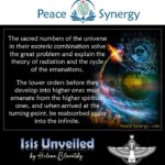 Peace Synergy_34