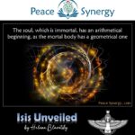 Peace Synergy_36
