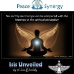 Peace Synergy_37