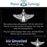 Peace Synergy_39