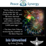 Peace Synergy_42
