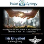 Peace Synergy_45