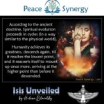 Peace Synergy_52