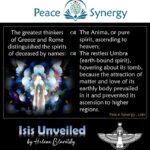Peace Synergy_58